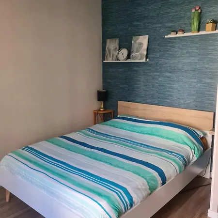Confort Avec Balcon A 100m Des Thermes 公寓 *