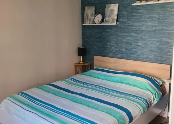 Confort Avec Balcon A 100m Des Thermes 公寓 *